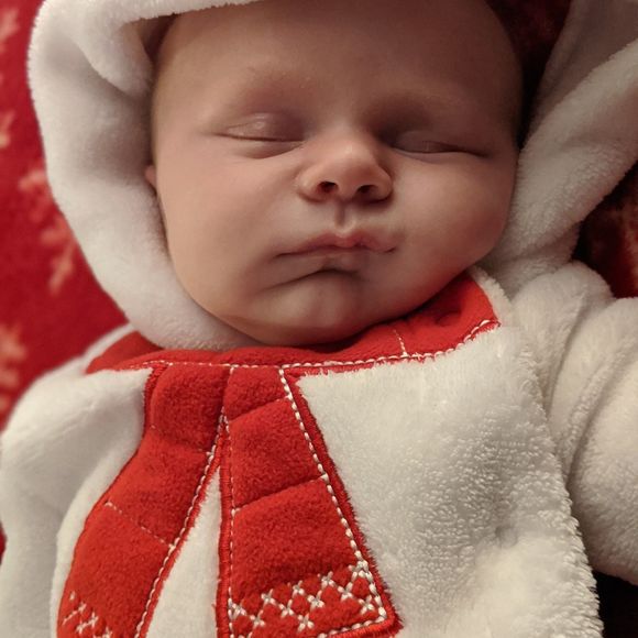 Meet your Posher, Sara - Picture 1 of 1